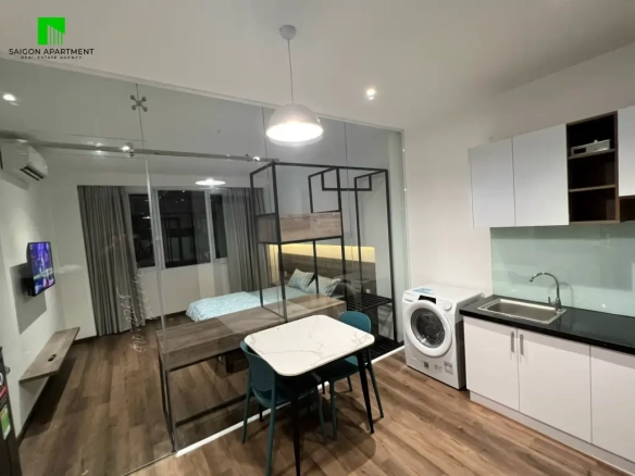 District 1 new serviced apartment for rent on Co Giang St