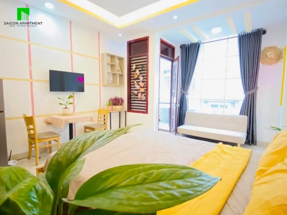 Serviced studio for rent Dist 1 on Co Giang St